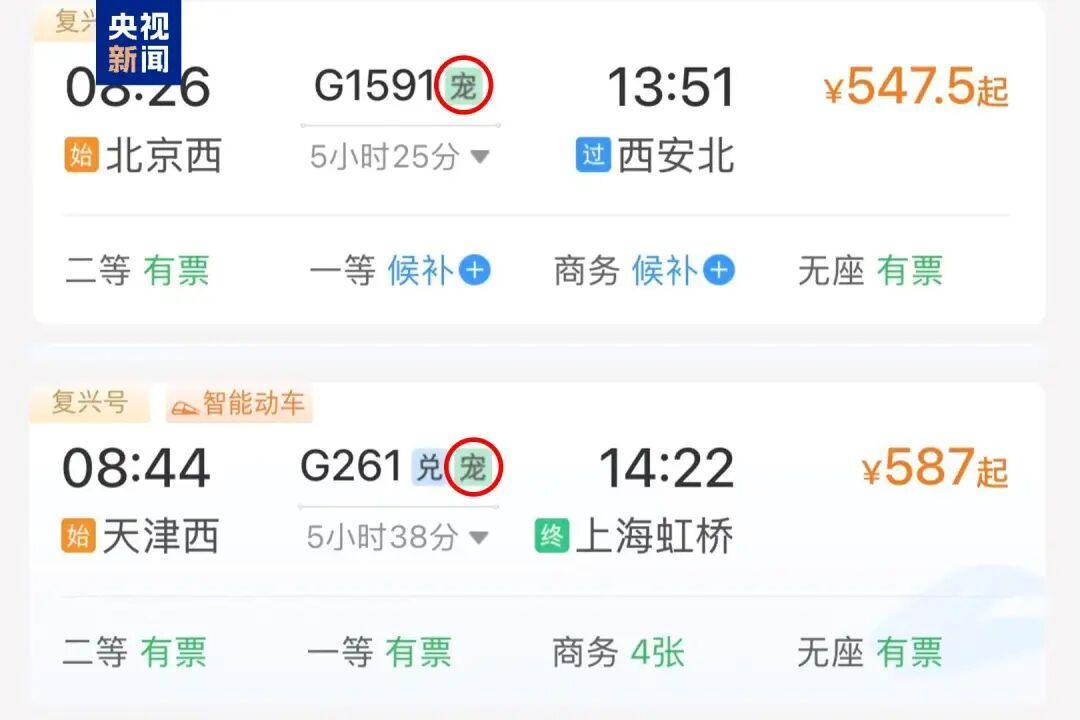 铁路12306购票页面“宠”字标识是什意思？近日，打开12306软件，大家查查