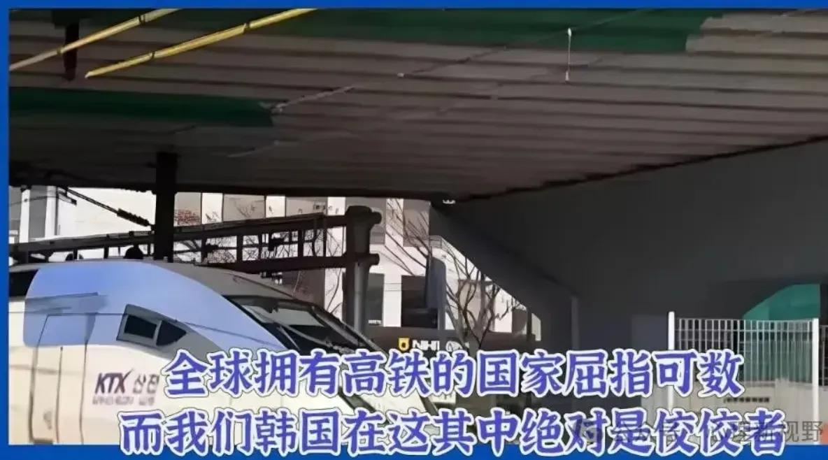 差点把我给笑哭了，这个韩国美女，你是哪里来的自信？你提出的这个问题，我不知道该怎