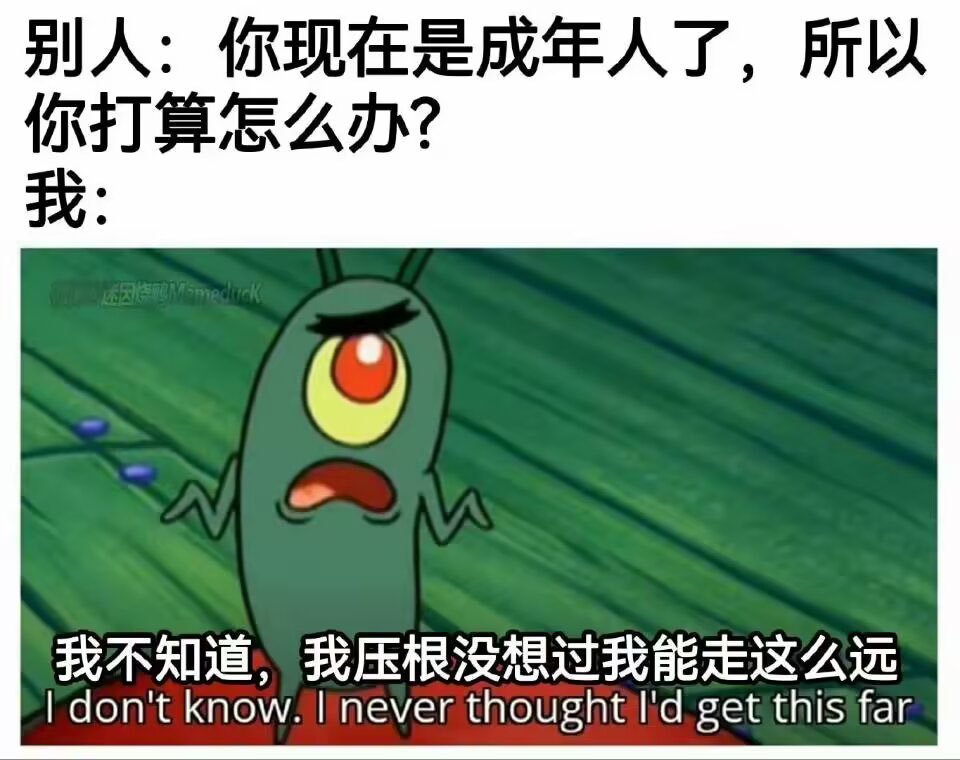 我概念本身