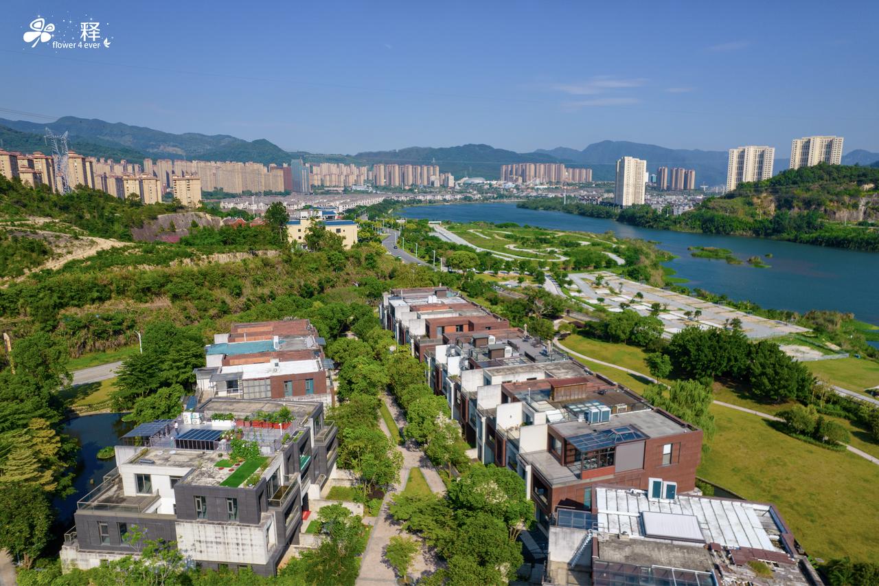 东北鹤岗那是流放，南方鹤岗才是躺平经常有人跑来说，人家东北鹤岗一套房两三万，我