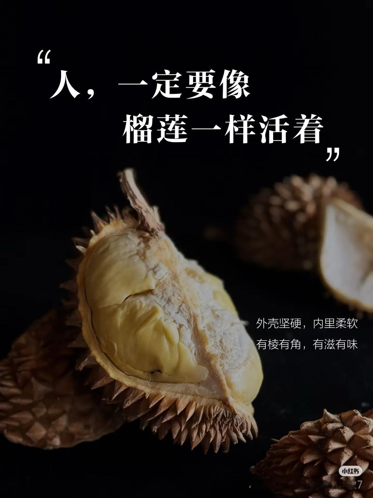 生活疗愈心情不知道你们有没有过这样的时刻，被生活的琐碎和压力纠缠，满心都