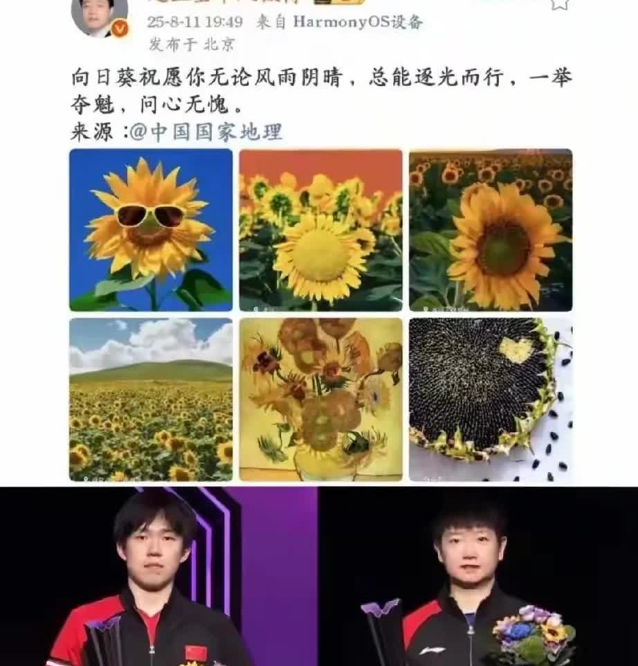 赵立坚的一句问心无愧，懂的都懂！楚钦是个输赢都很干净的孩子！人品好，干净，国