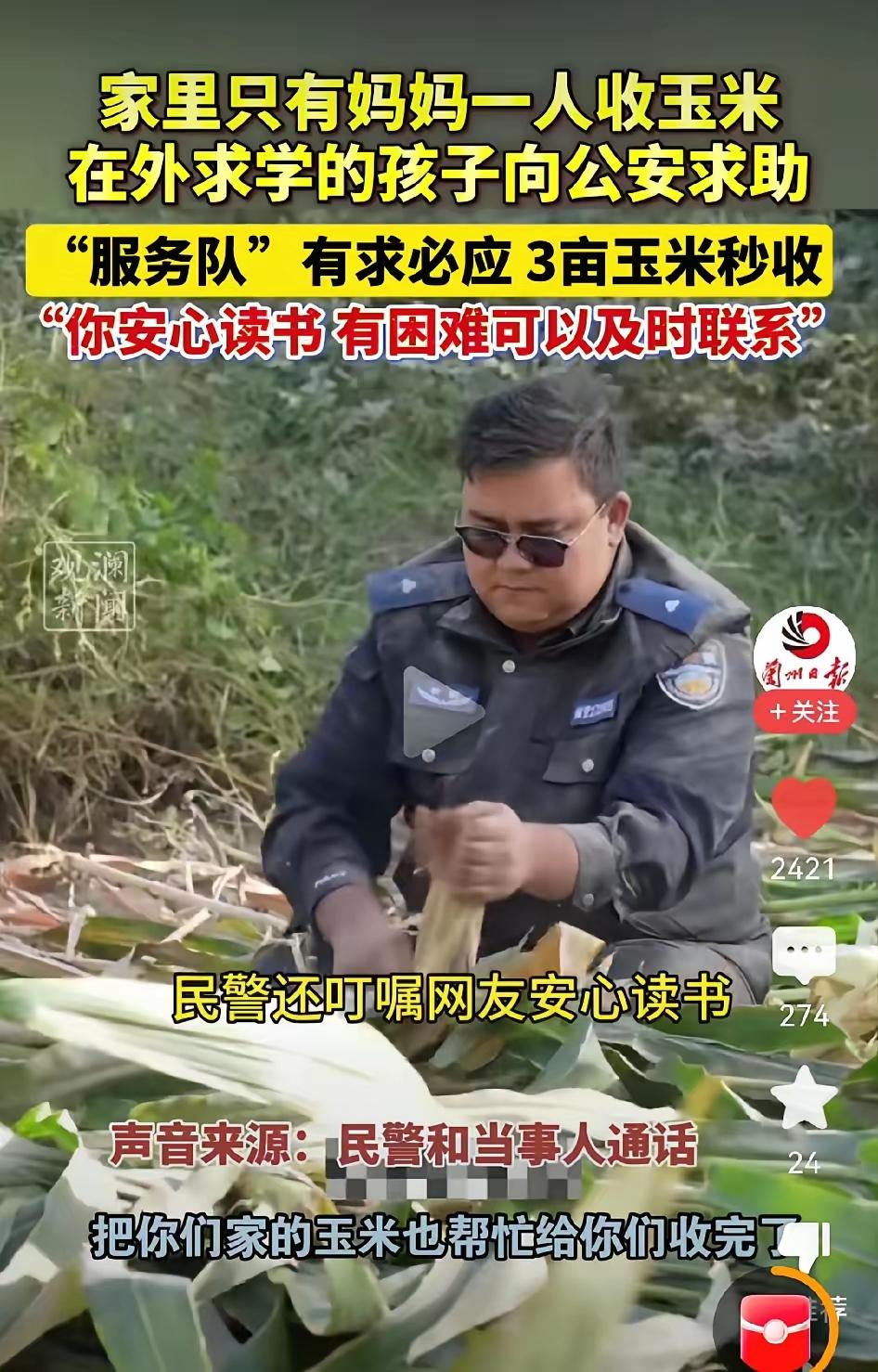 一个新疆的小伙子在外地读大学，最近担心家里的三亩玉米地，妈妈的年纪大了，身体也不