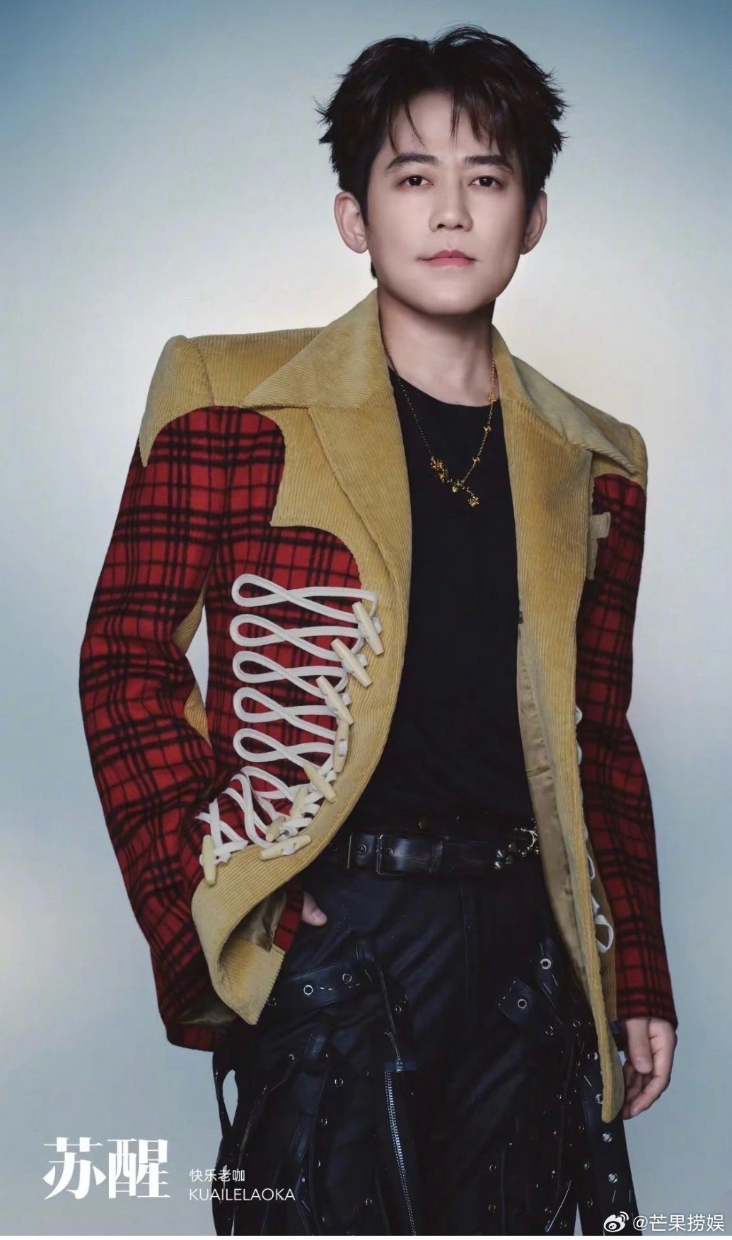 苏醒画的饼快乐老咖吃的真香恭喜苏醒实至名归！披荆斩棘登顶，队长荣耀，团队共铸高光