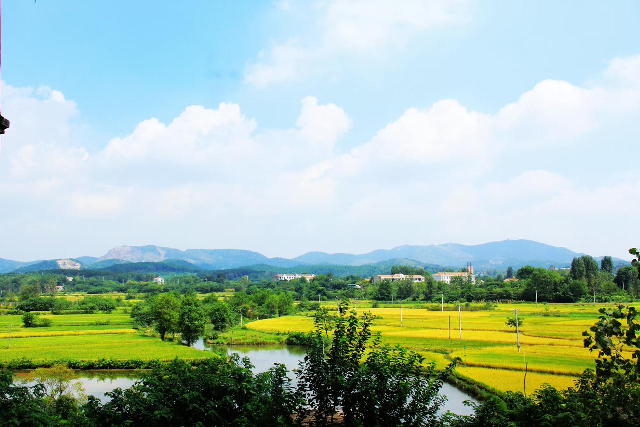 遇到一个学生家长，加我微信很长时间了，每天冷不丁的聊一句，表现自己对孩子的学习很