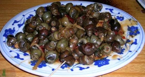 南宁嘬螺正当时！6元一斤解锁春日顶流鲜谁懂啊！南宁人的春天，是从一口嘬螺开始