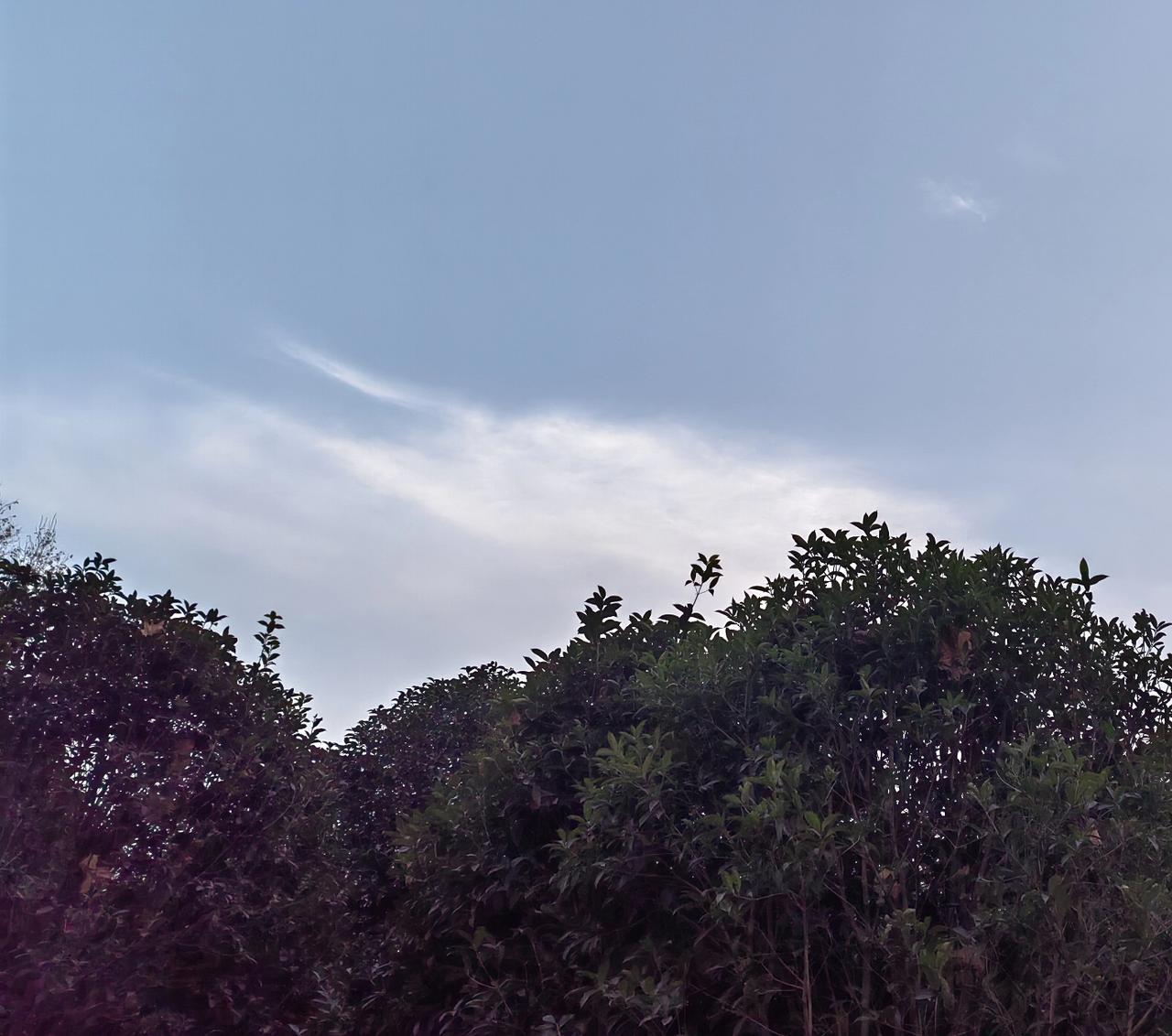 以上，仅是主要，切记：任何时候都不要与领导搞“对立”、对领导有怨气、背后联络人告