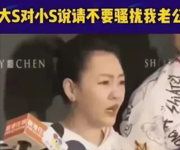 小s代姐宠夫，老s看软饭女婿，越看越喜欢，没妈的孩子遭冷落大s死后，光头这个