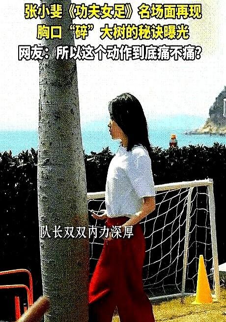周星驰的电影，根本不是拍给大人看的。很多人揪着张小斐胸口碎大树那个镜头不放，