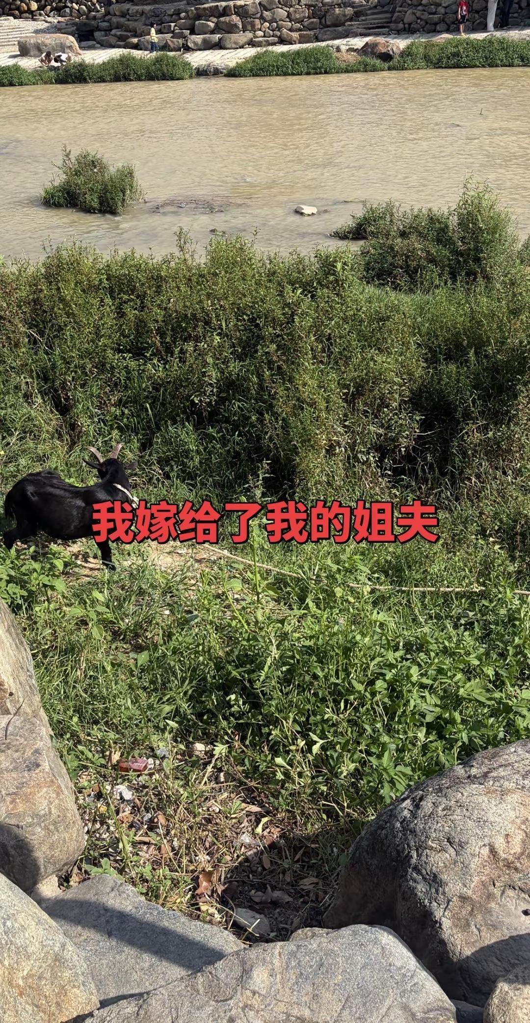 中国女团世乒赛1-2绝境翻盘，孙颖莎连砍两分王曼昱决胜局救赎，中国女团惊险夺冠海
