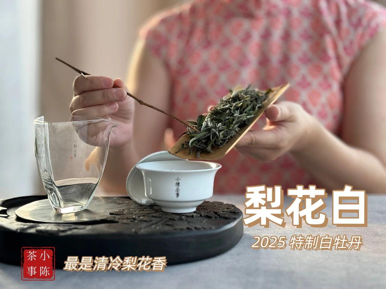 什么样的白茶值得收藏？想存出越陈越香的老白茶，选对茶是第一步，选错了，存再久也
