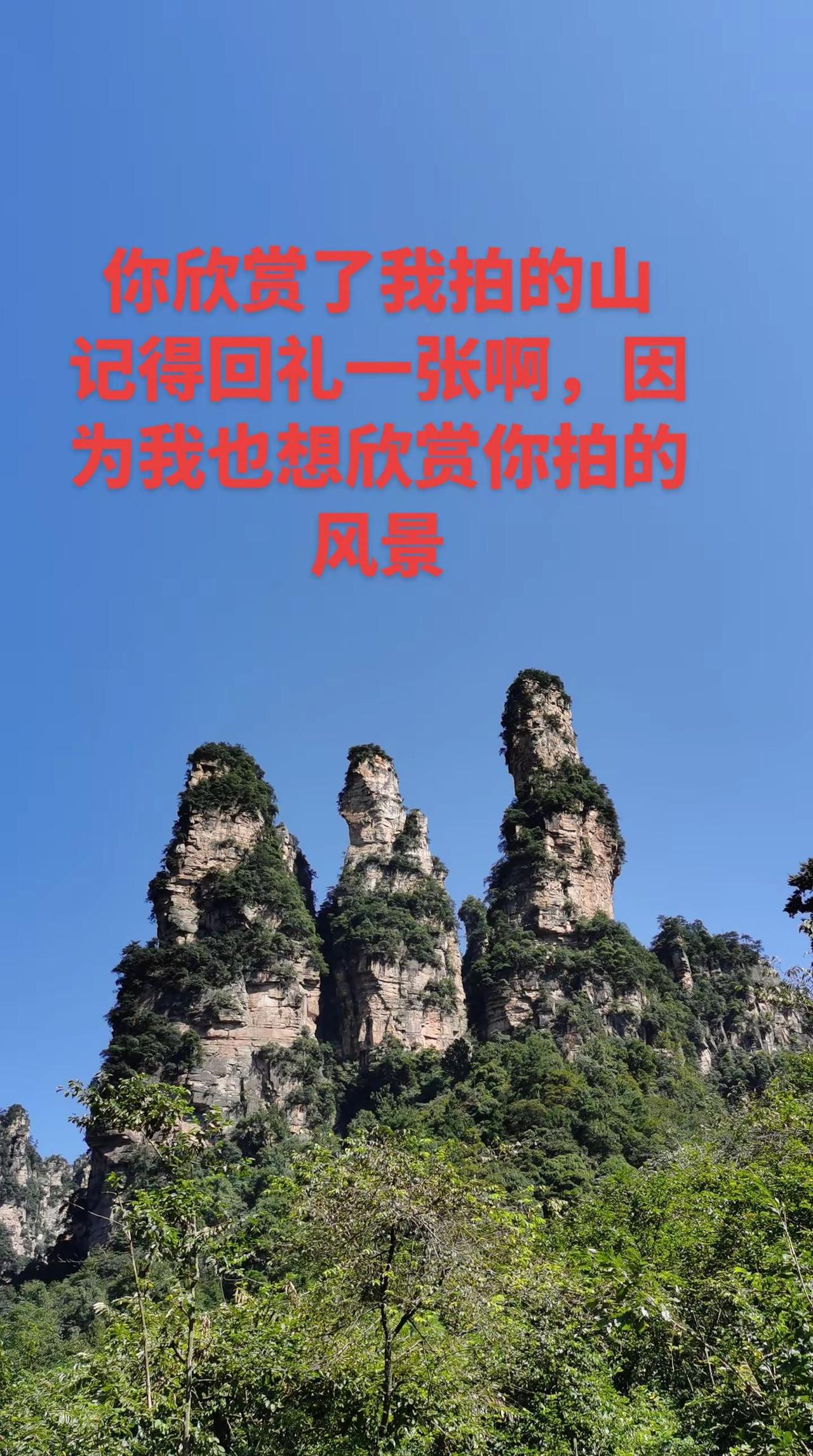 回礼一张你拍的风景吧，我也想欣赏。张家界自然风景区我的张家界天门山之旅张家界