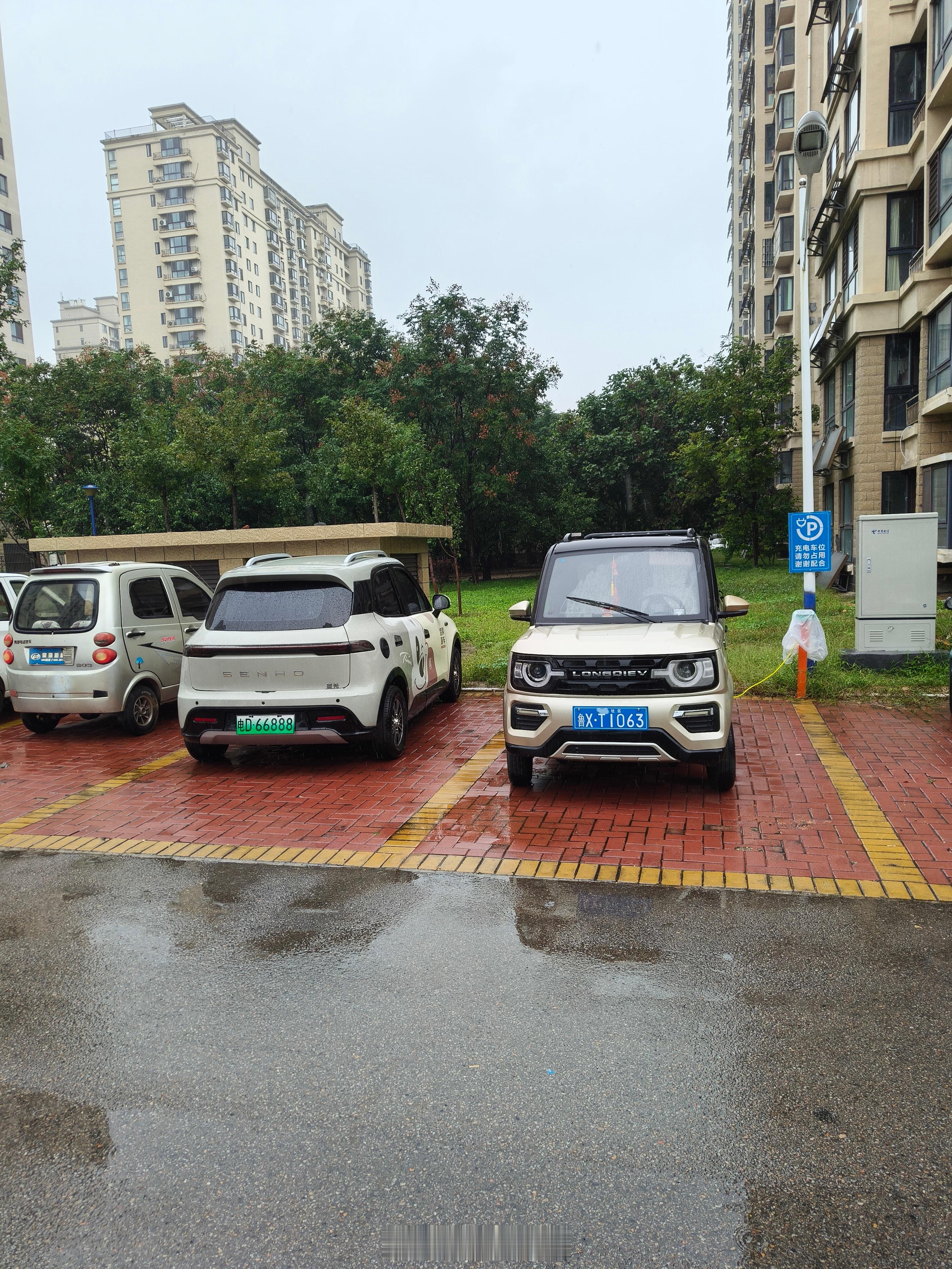 在我们这有多种民间车牌，最常见的是以下两种：1、老头乐厂家做的“电D”车牌2、小