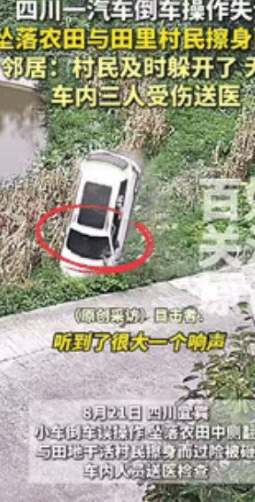 离谱到家了！”四川宜宾，一女子在田地里干活时，突然听到惊呼声，她扭头一看，有辆汽