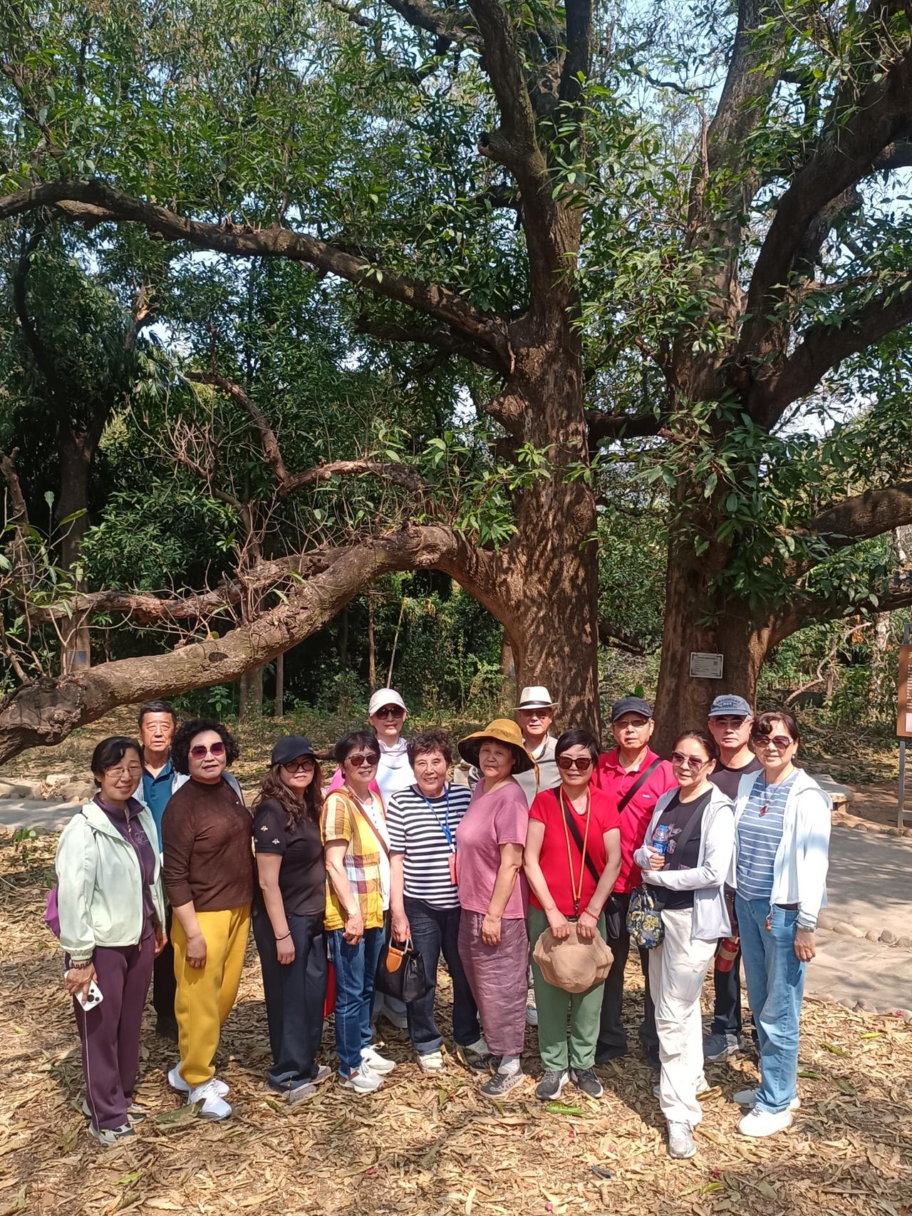 刚才有人质疑入境的游客没有创新高：2025年中国入境外国游客人次确实创下了历