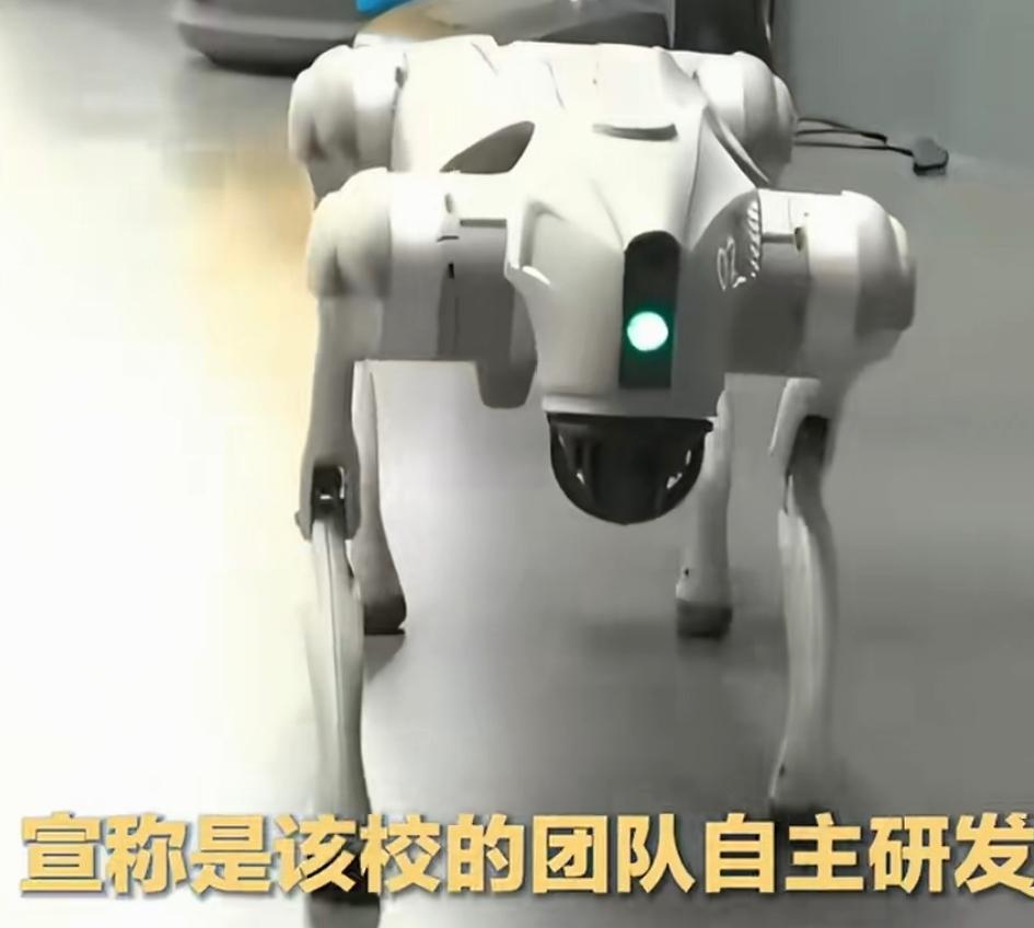 这脸算是彻底丢大了！最近，印度加尔戈蒂亚斯大学在本国AI影响力峰会上，大张