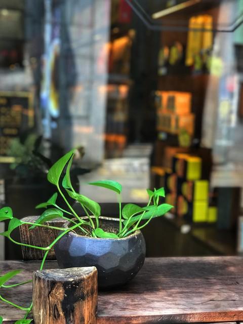 我的人生格言是“谋事在人，成事在天”。回想上学时，被问座右铭，我总临时瞎想，像“