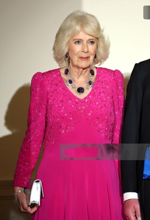 卡米拉出席美国国宴佩戴的紫水晶项链来头不小；4月28日英国王后卡米拉盛装亮相美国