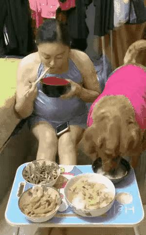 一个女人养了一条狗，女人十分的喜欢它，女人每天吃饭的时候，她给狗盛了一碗饭，和狗