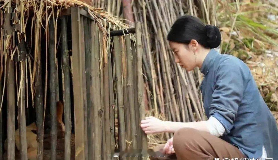 一看刘亦菲就演不了农村妇女，喂鸡是不用追着喂的，懂？​​​