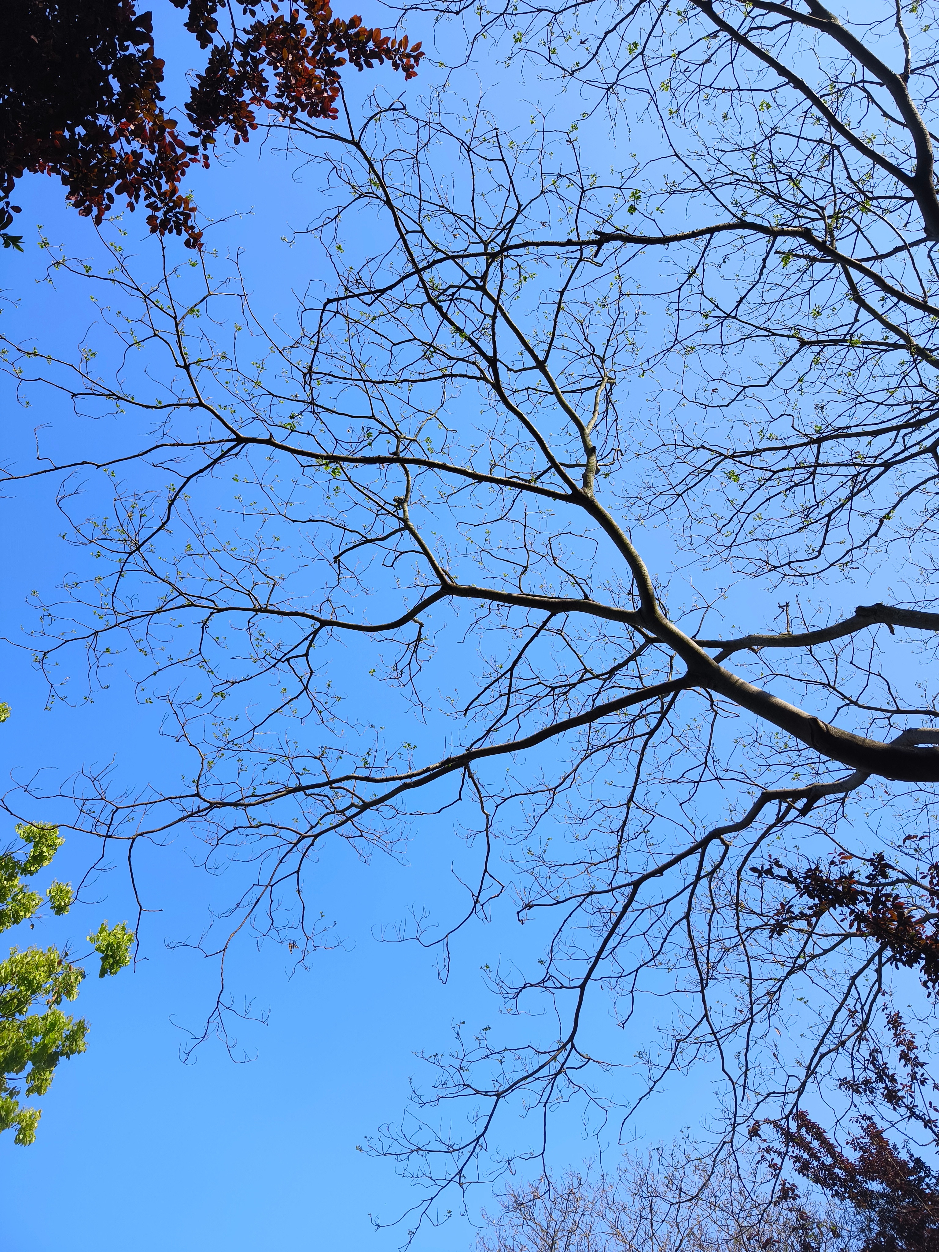 天真好啊，就是蚊子多了点。