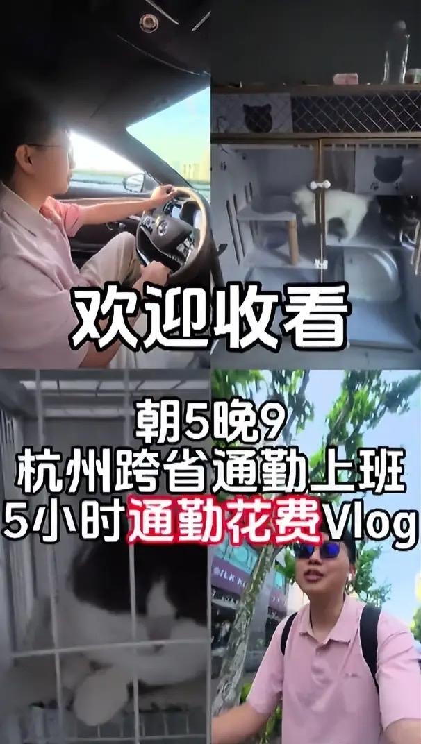 每月花3000元跨省通勤！杭州女子每天2小时奔波上班：看似辛苦，实则最划算在