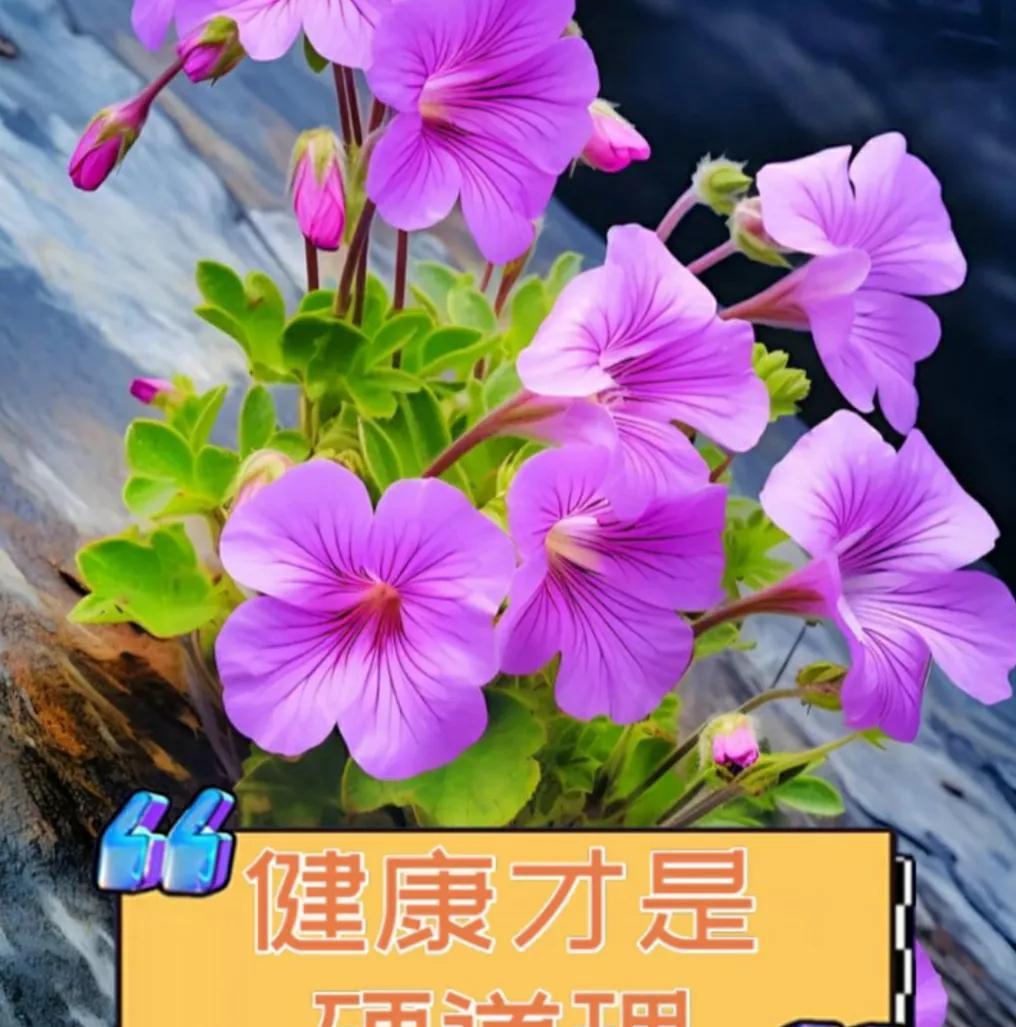 刘震云说:“如果你在各个方面都没有过人之处，不妨养个好身体，能熬死别人，也是一种