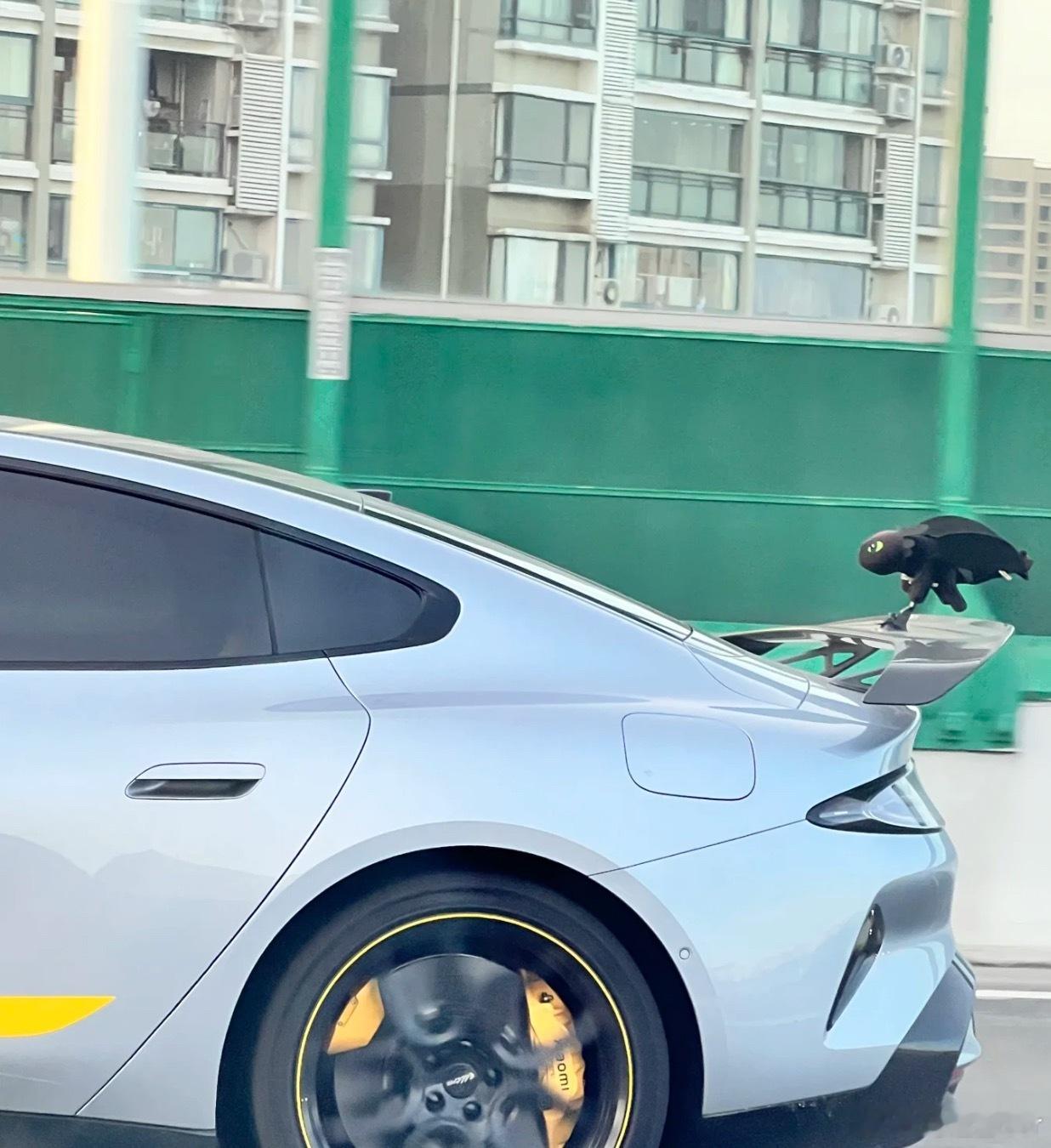 这太有节目了，大卫衣配上小乌牙，别说开起来以后真像飞起来了[捂脸哭][捂脸哭][允悲