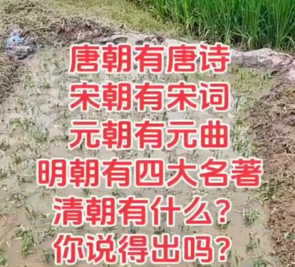 唐朝有唐诗，宋朝有宋词，元朝有元曲，明朝有《三国演义》，《水浒传》，《西游记》，