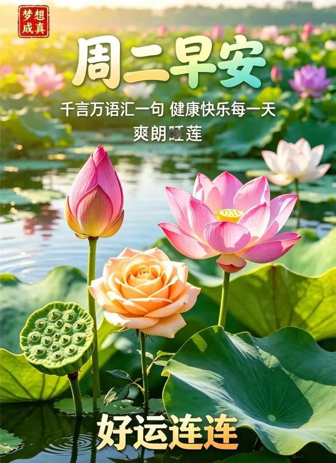 8.25日🌹🍎早上好😀🌹伏尽秋来，福运绵延！愿我们阖家幸福安康、平安喜