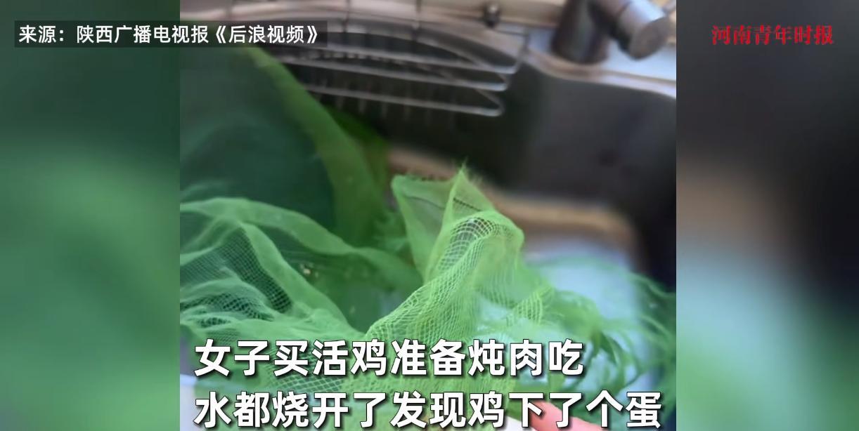 “万物皆有灵！”8月15日，江西鹰潭，一女子在乡下买了一只活鸡，本打算做成菜吃掉