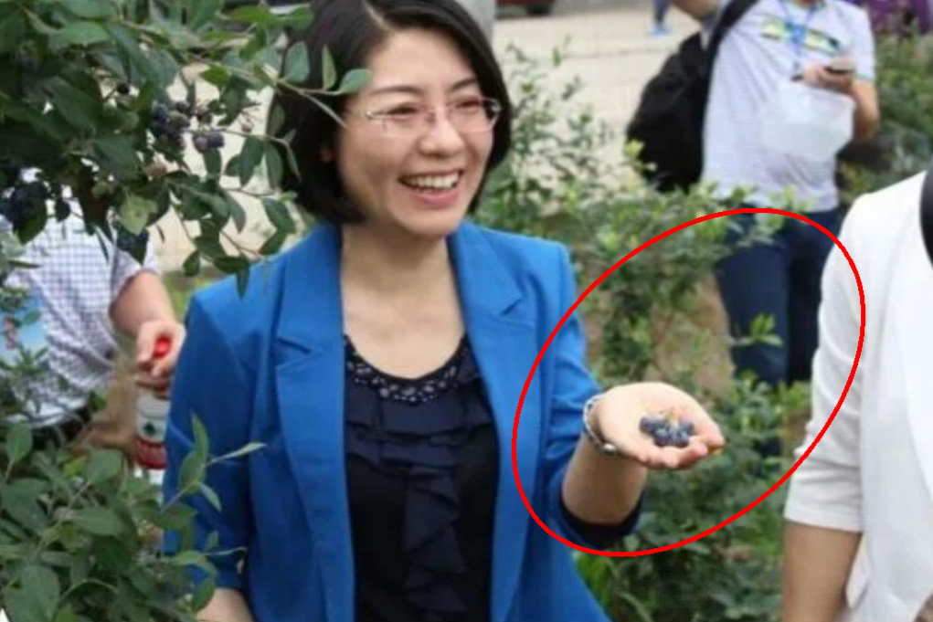 “网红书记”林虹翻车了。带货两小时卖71万农产品，背后却是亲属公司疯狂捞钱。她