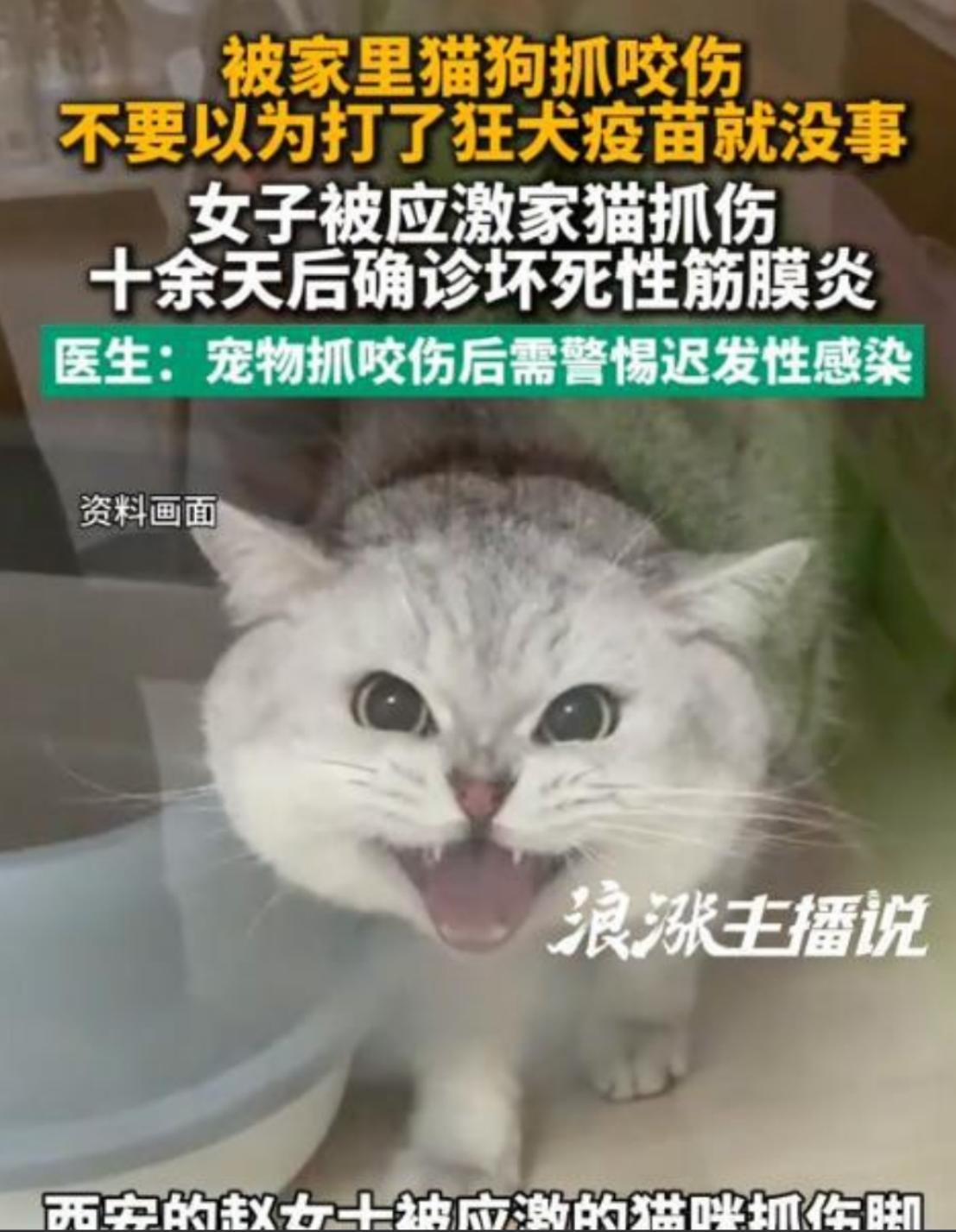 一女子被家猫抓出血，全程规范打完疫苗、伤口快速结痂后本以为平安无事，谁知十天后，