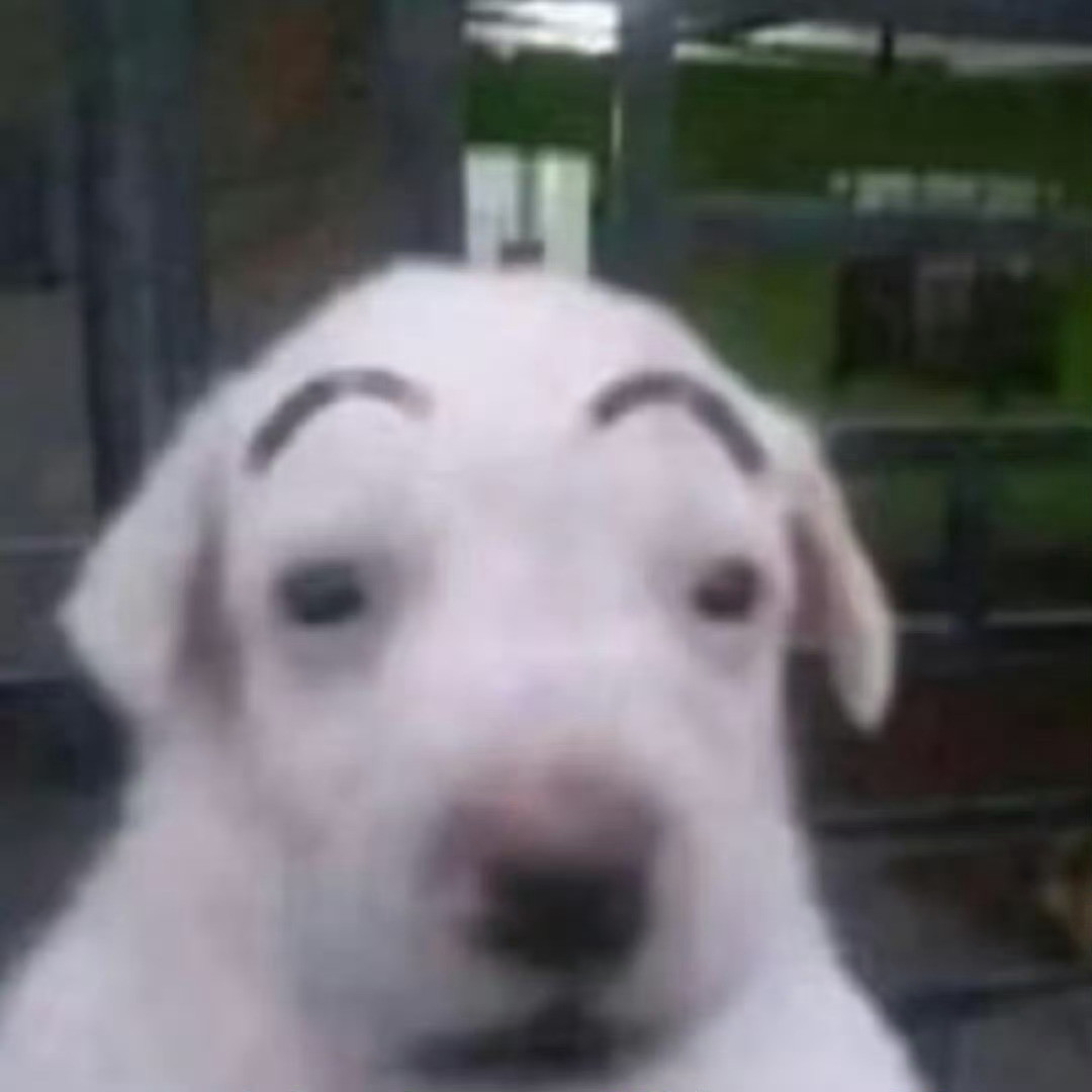 我呆萌吗