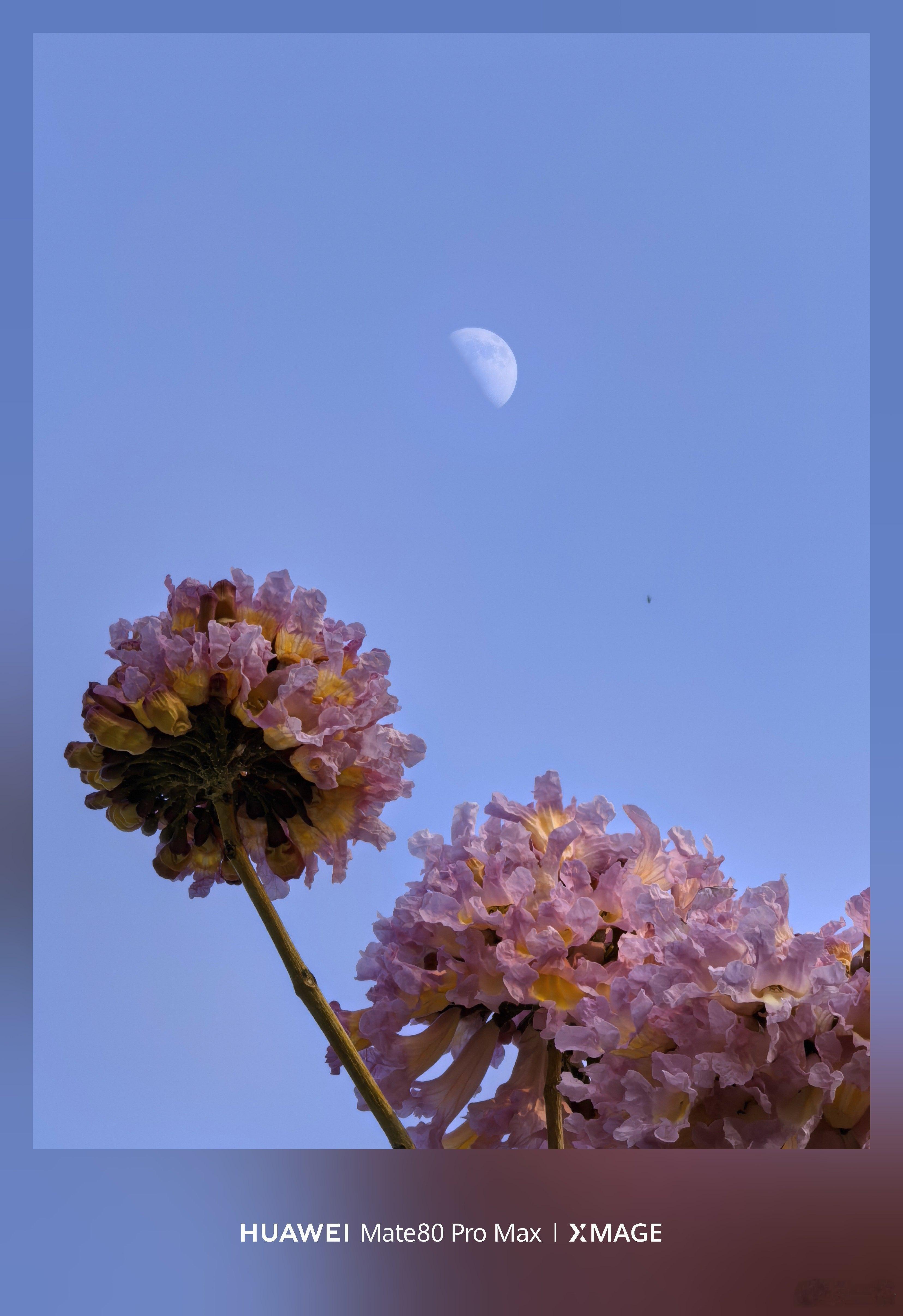 今天小林爬山的摄影作品，请你们点评