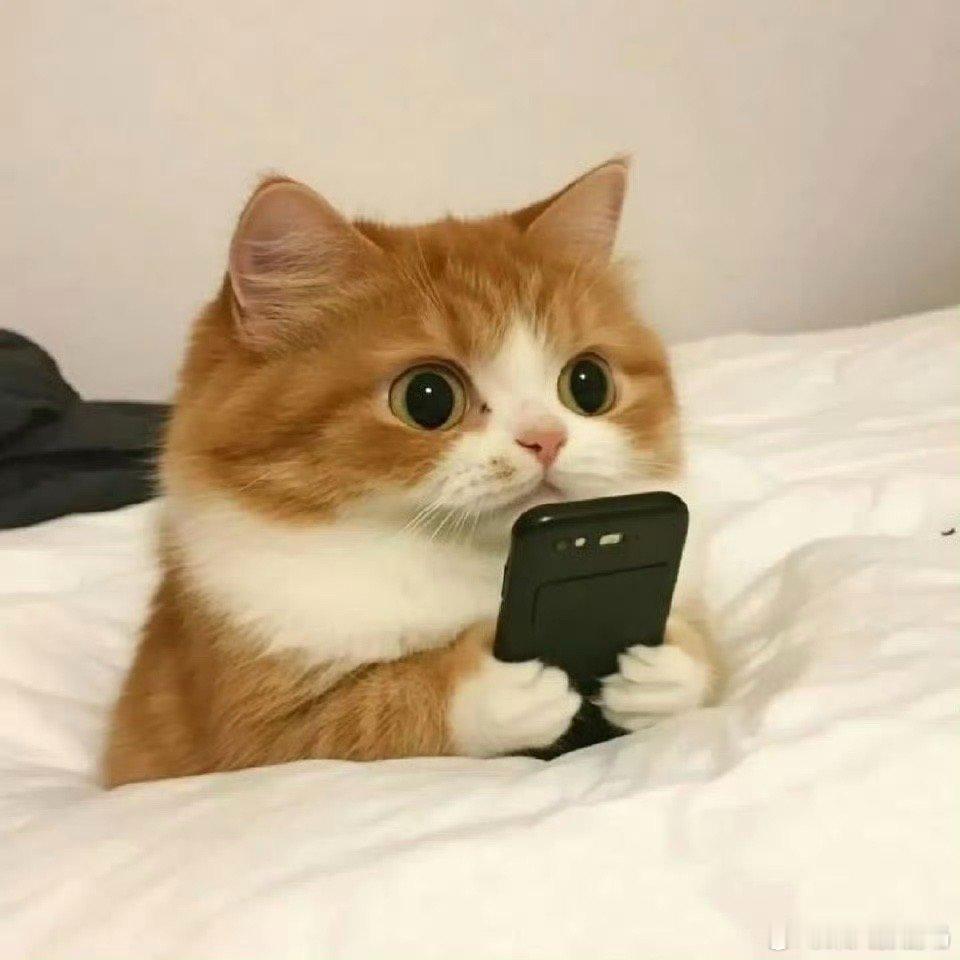 随机提问你们都在干什么[思考]​​​
