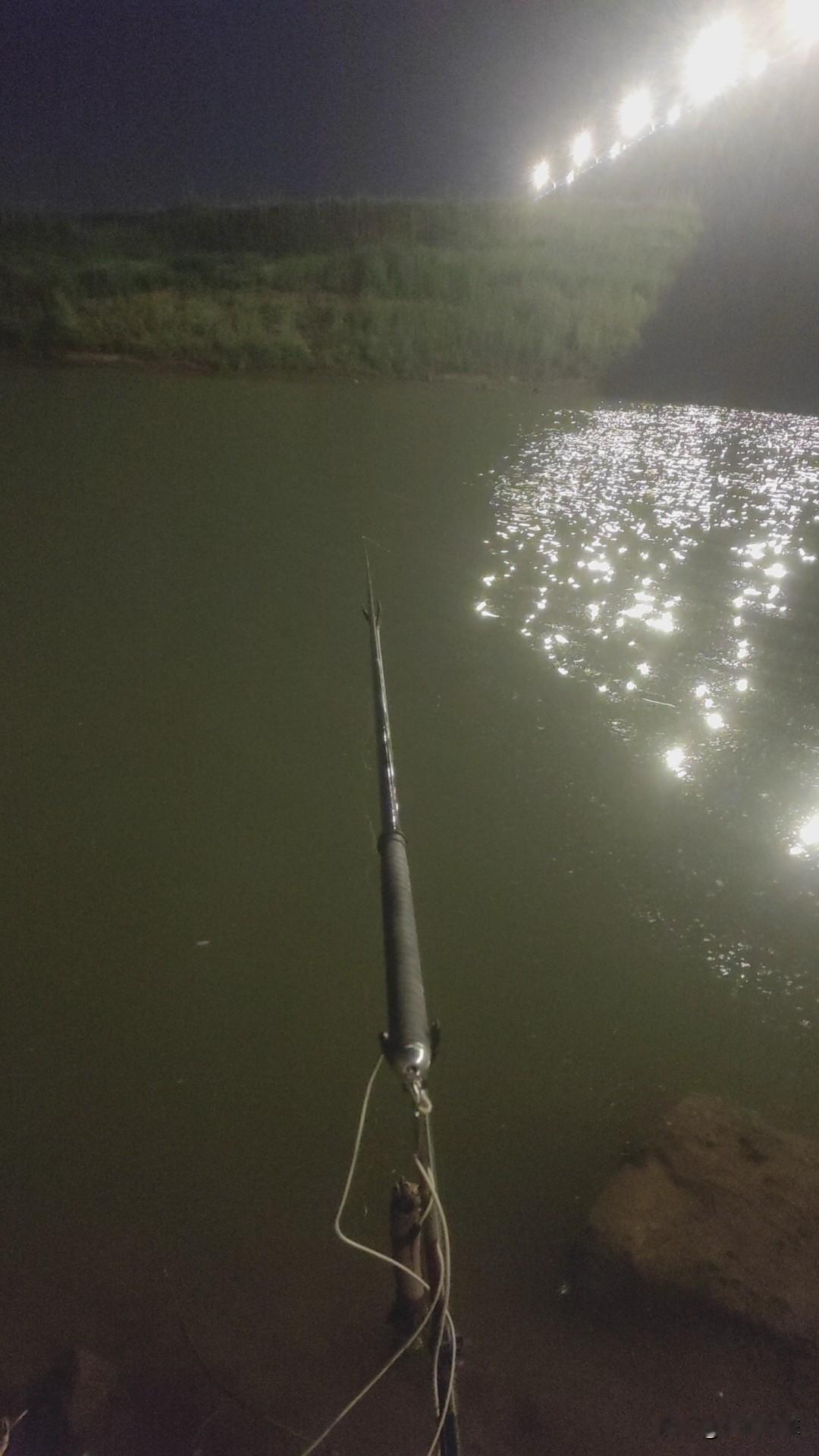 一个人钓鱼是最轻松的，我就喜欢独来独往，钓到钓不到都没有压力。昨天哥们约我去夜