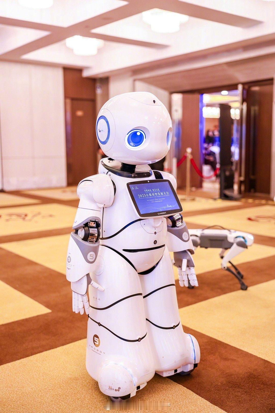2025首都侨智发展大会这次大会的迎宾组是三个机器人，看来机器人的应用进入我们