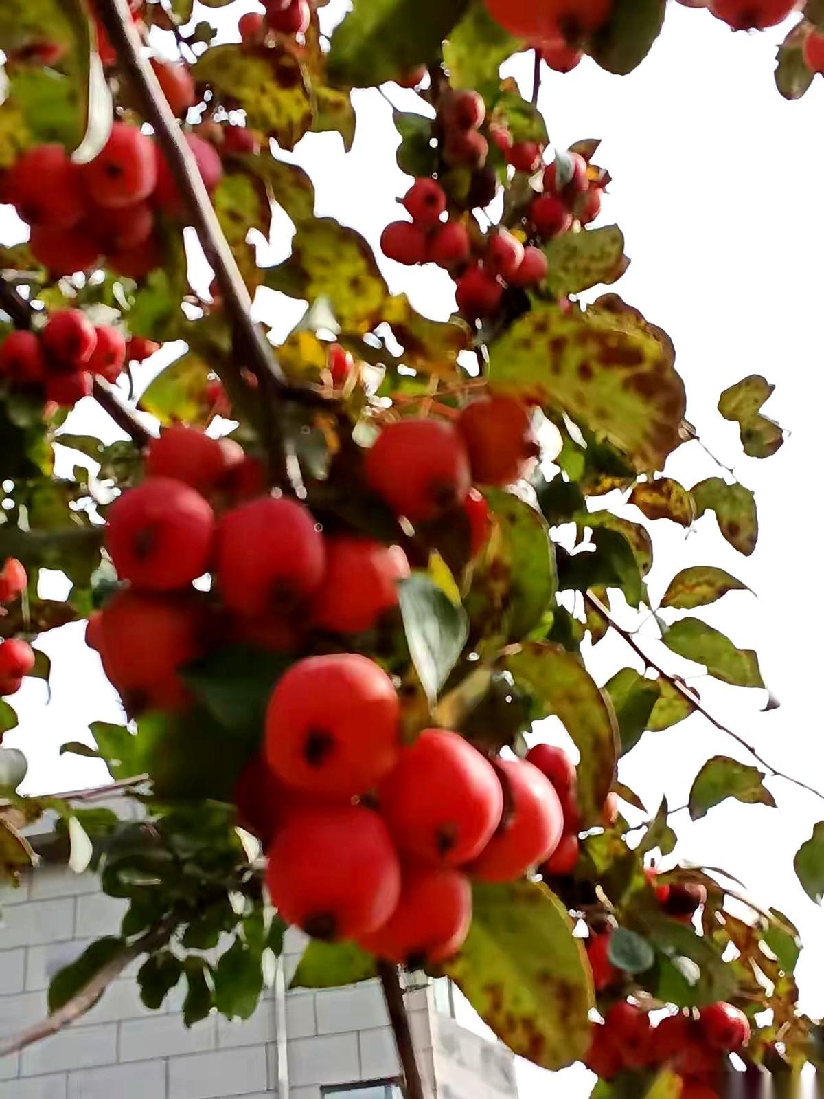 我们学校新来的那个女老师，真绝了。在银行干了整整7年啊，说辞就辞了。多少人挤