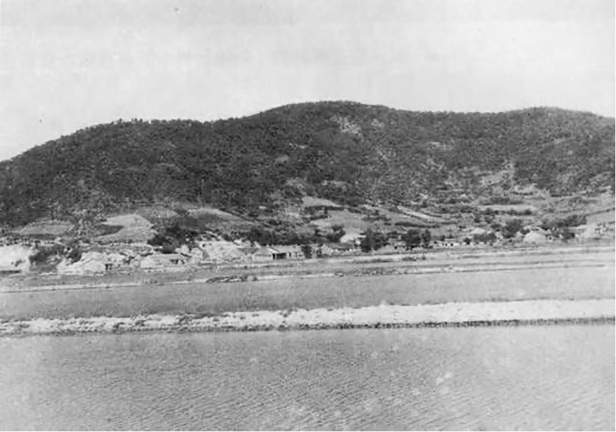 新四军海防大队张大鹏回忆1944年8月血战大鱼山岛这场血战不是突发的遭遇战