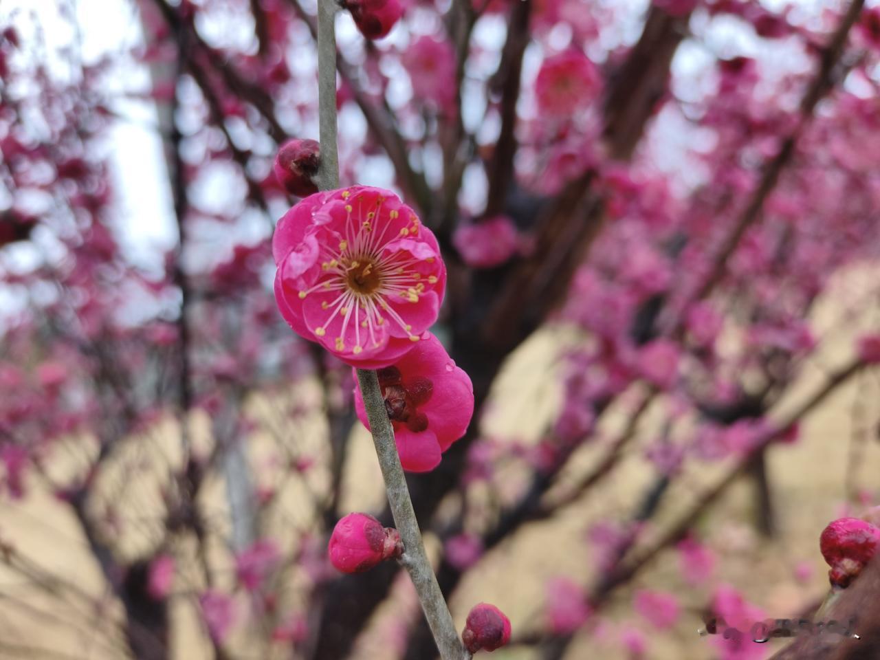 这句话感觉好有道理，你追了很多女生才明白的道理？需要你追的女人，大抵是没看上你