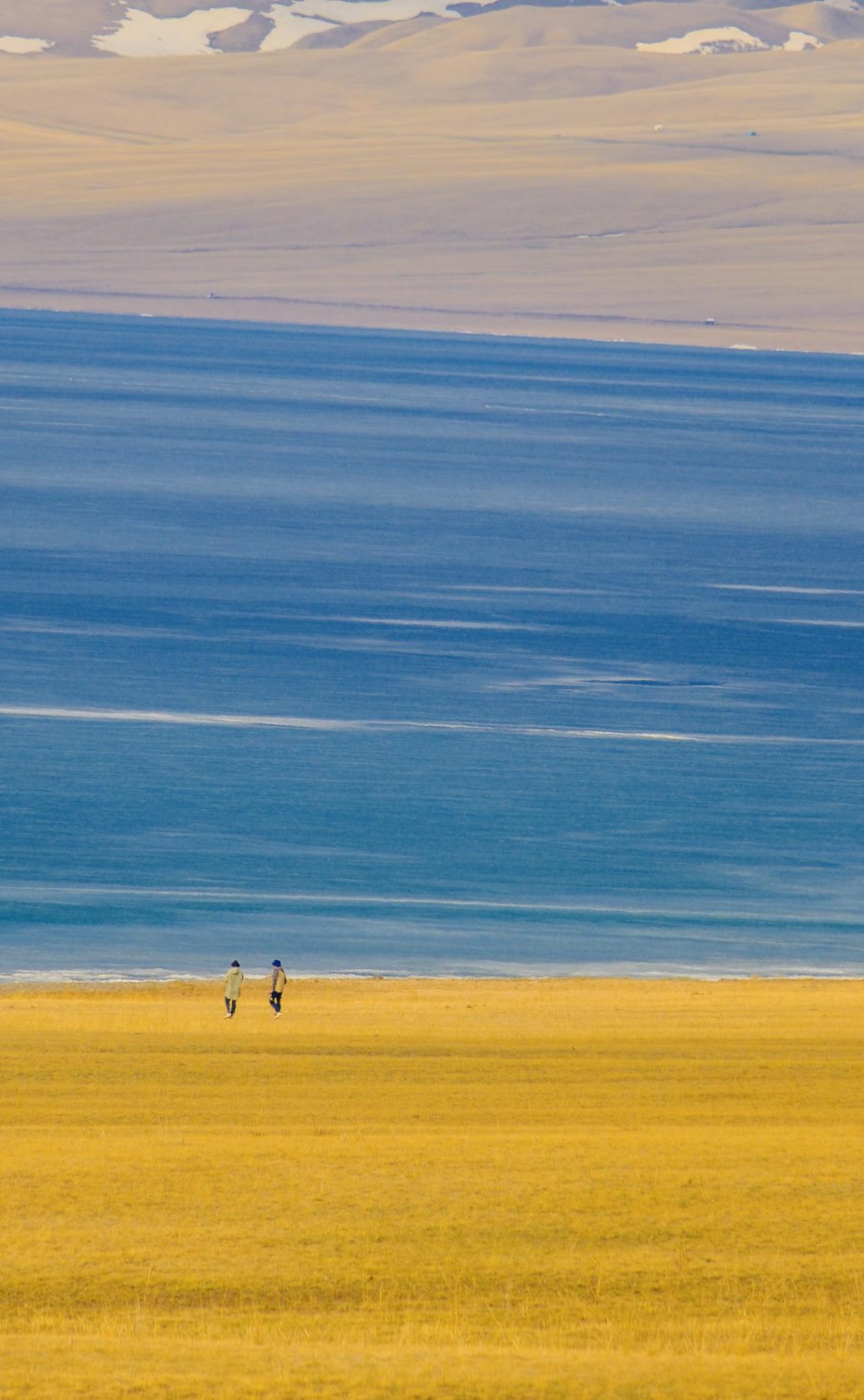 人一定要大量读书！我发现长期读书都有一个共性：越读心越宽，越读人越淡。莫