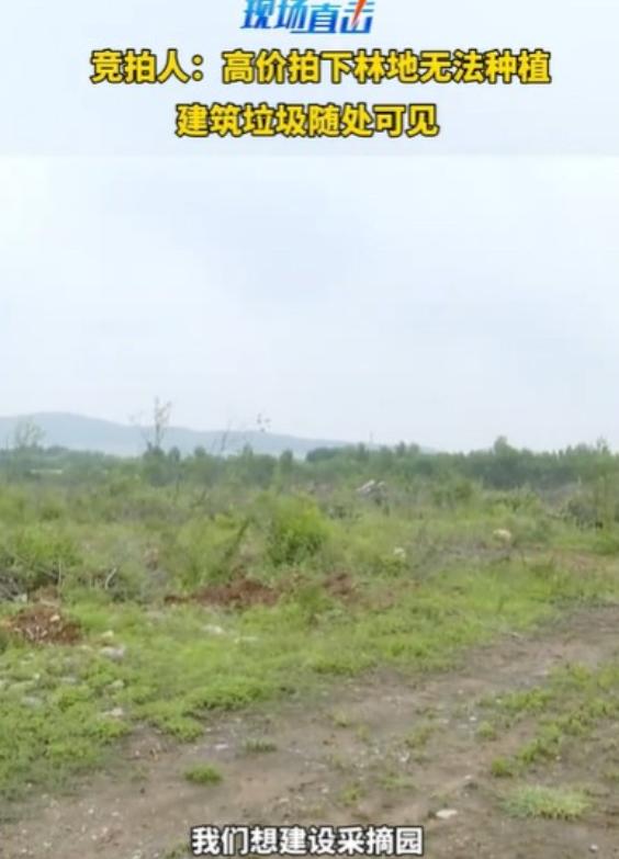 花十几万租的耕地竟是垃圾填埋场。山东的李先生参与村集体土地公开竞拍，拿下137