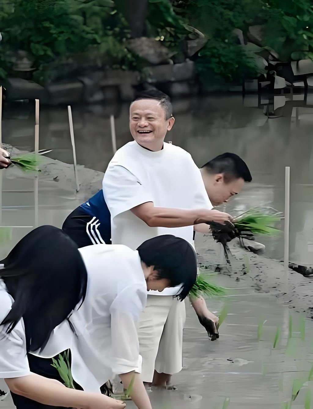 卸任董事局主席后的马云，对阿里到底还有多大掌控力？2019年9月，马云卸任董事局