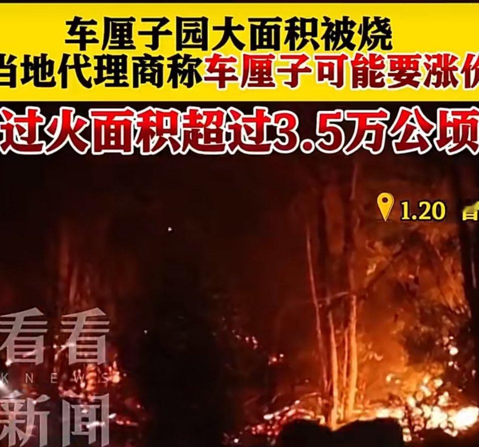 一超市金车厘子一箱2800元这个价格受众到底谁啊我还是比较关心智利大火才刚刚实现