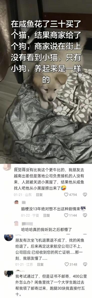 好家伙，这样玩是吧[捂脸哭]
