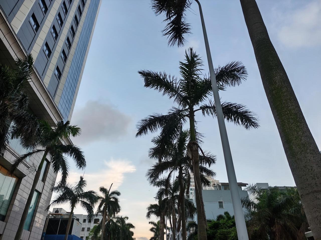 一位心理学家说：“很多人不敢反击欺负自己的人，总觉得我得罪他，我会更惨，这其实是