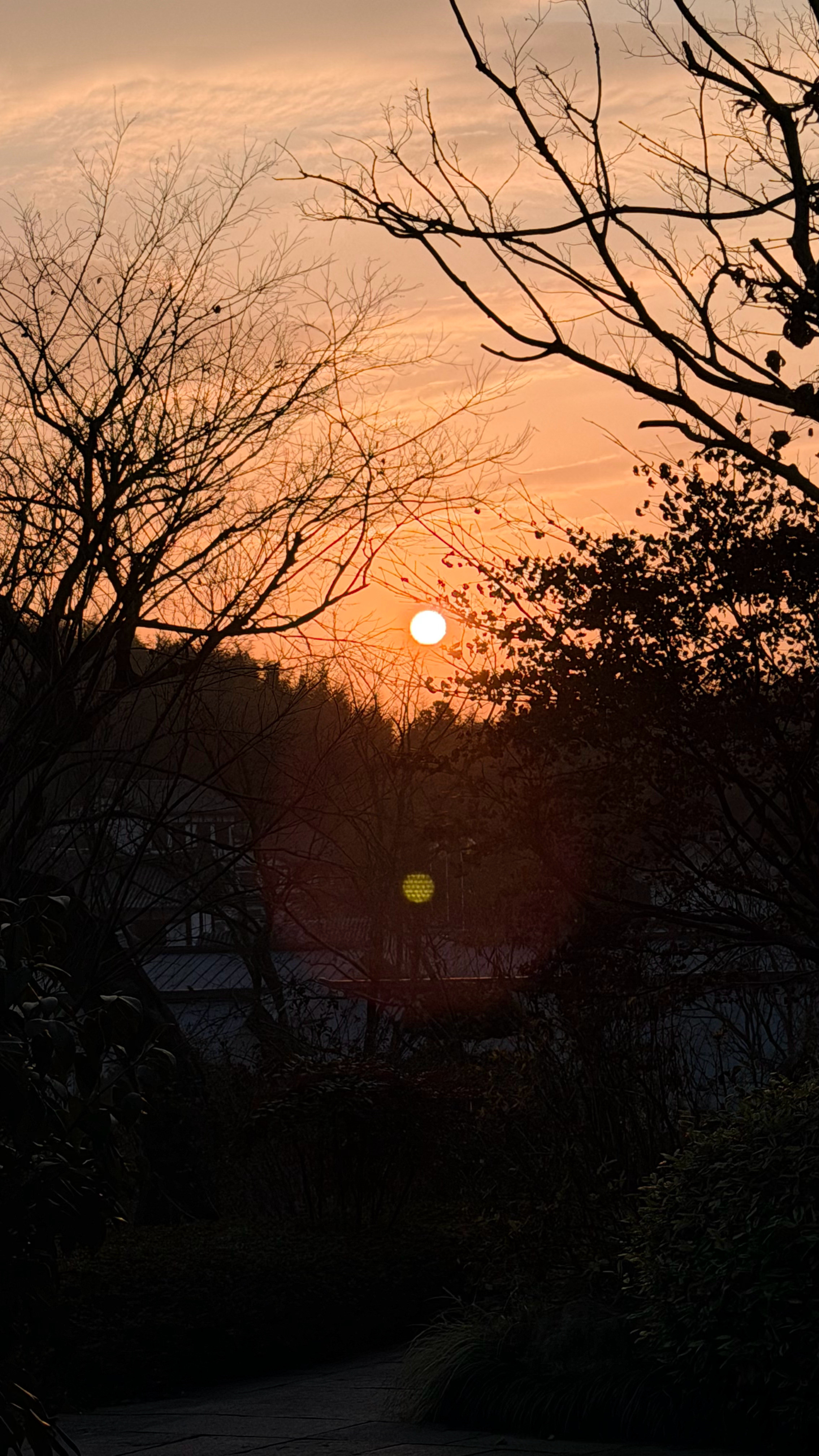 径山寺古径藏深寺，高林出远山克总随感克总评车杭州·径山寺