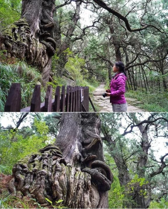 先秦到唐代，关中平原是国之中心。在四川过来的道路称为“蜀道”。蜀道分岔多，光主干