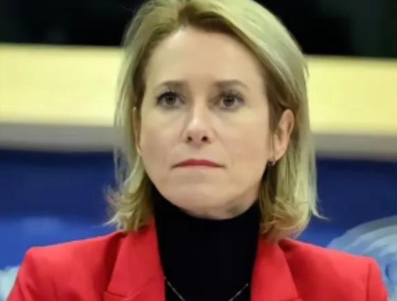 欧盟那帮人开会，有个女议员正唾沫横飞地渲染“中国威胁论”，调子都快起飞了。结果挪